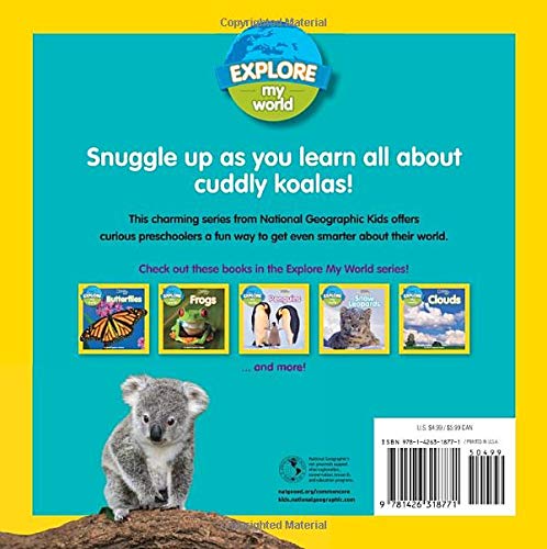 NGK Explore My World Koalas - 買書書 BuyBookBook