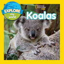 NGK Explore My World Koalas - 買書書 BuyBookBook