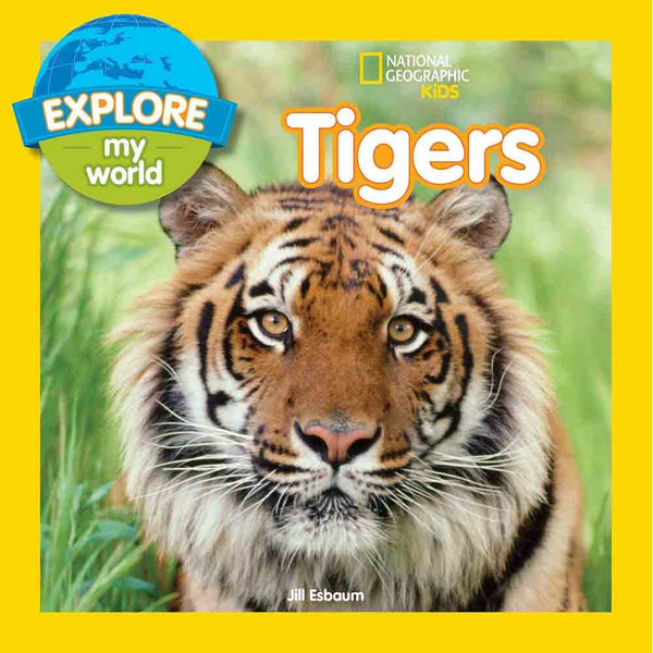 NGK Explore My World Tigers - 買書書 BuyBookBook