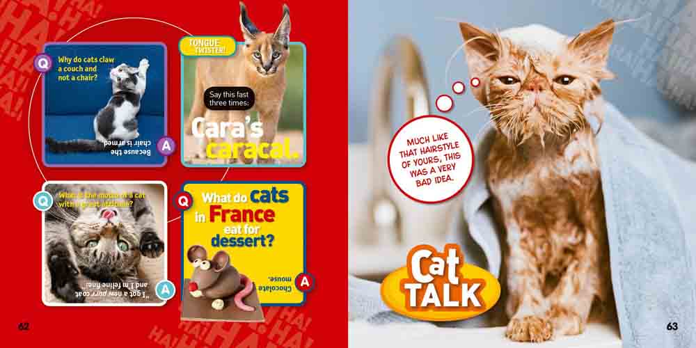 NGK Just Joking Cats - 買書書 BuyBookBook