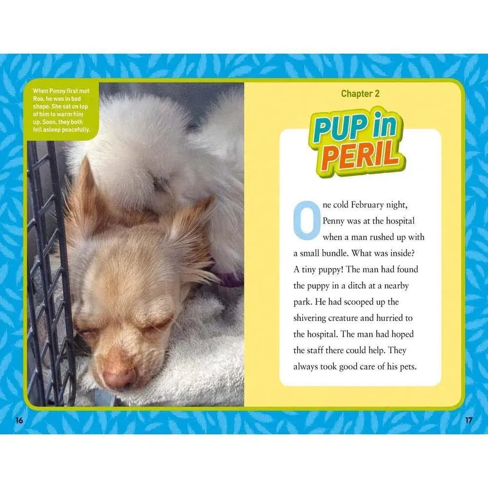 National Geographic Kids Chapters: Together Forever-Children’s / Teenage fiction: General and modern fiction-買書書 BuyBookBook