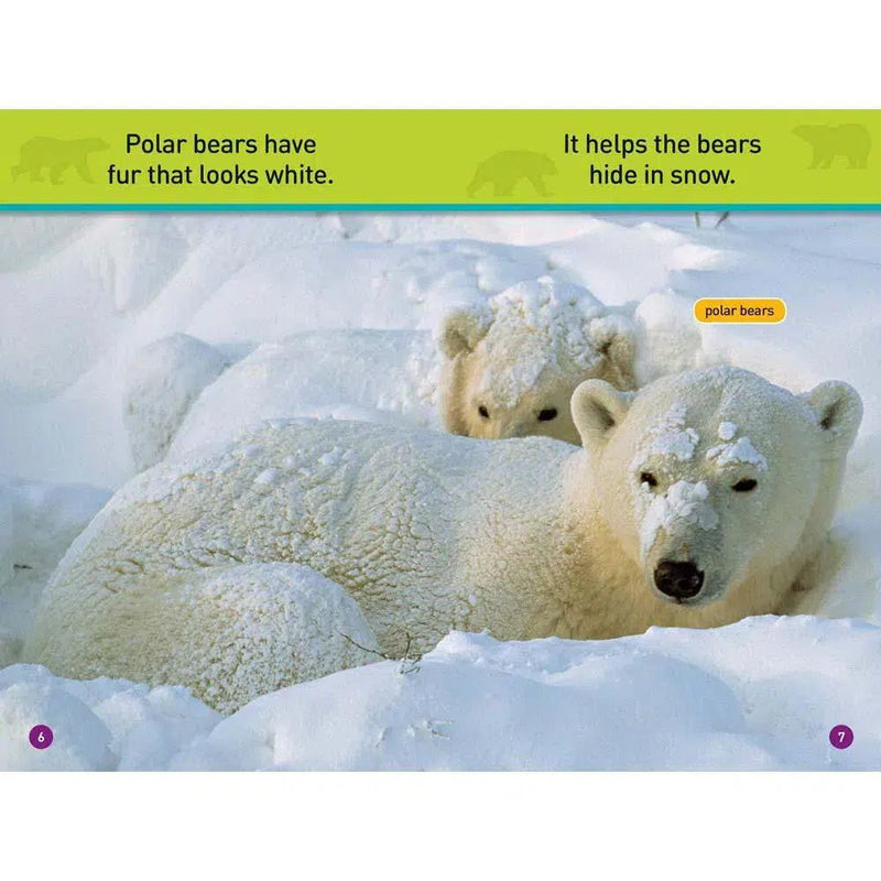 All About Bears (L0) (National Geographic Kids Readers) National Geographic