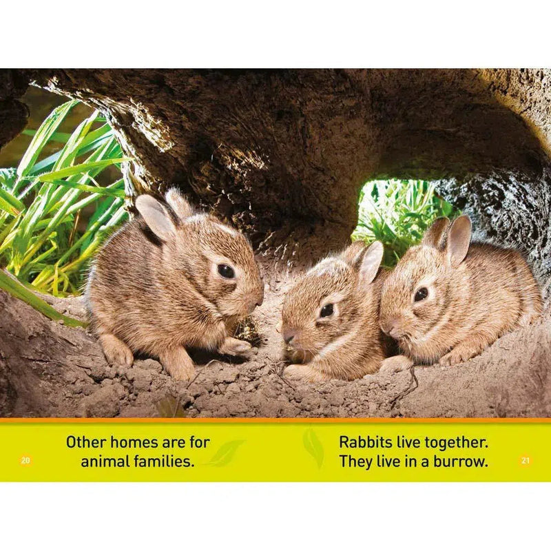 Animal Homes (L0) (National Geographic Kids Readers) National Geographic