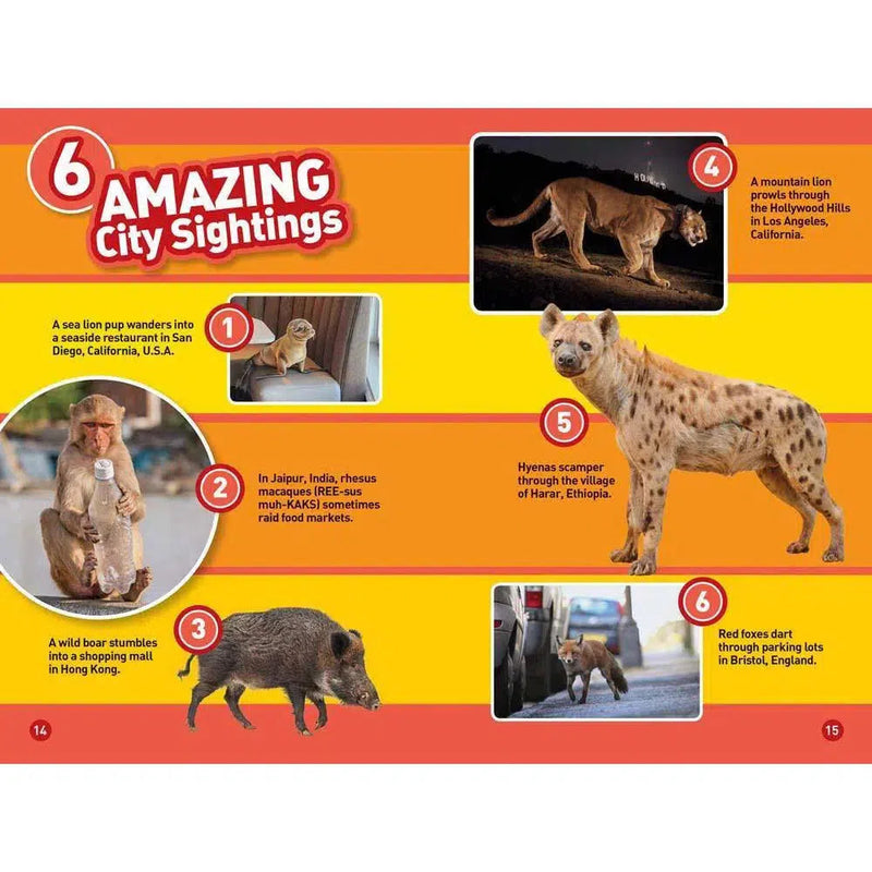 Animals in the City (L2) (National Geographic Kids Readers) National Geographic