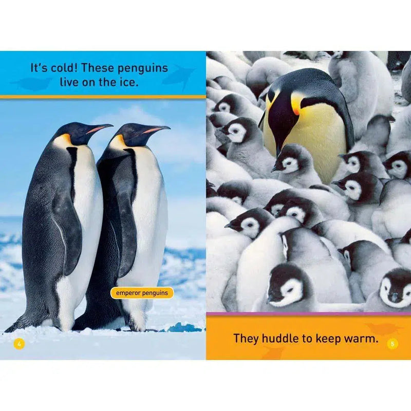 Hello, Penguin! (L0) (National Geographic Kids Readers) National Geographic