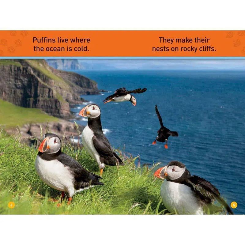 Puffins (L0) (National Geographic Kids Readers) National Geographic