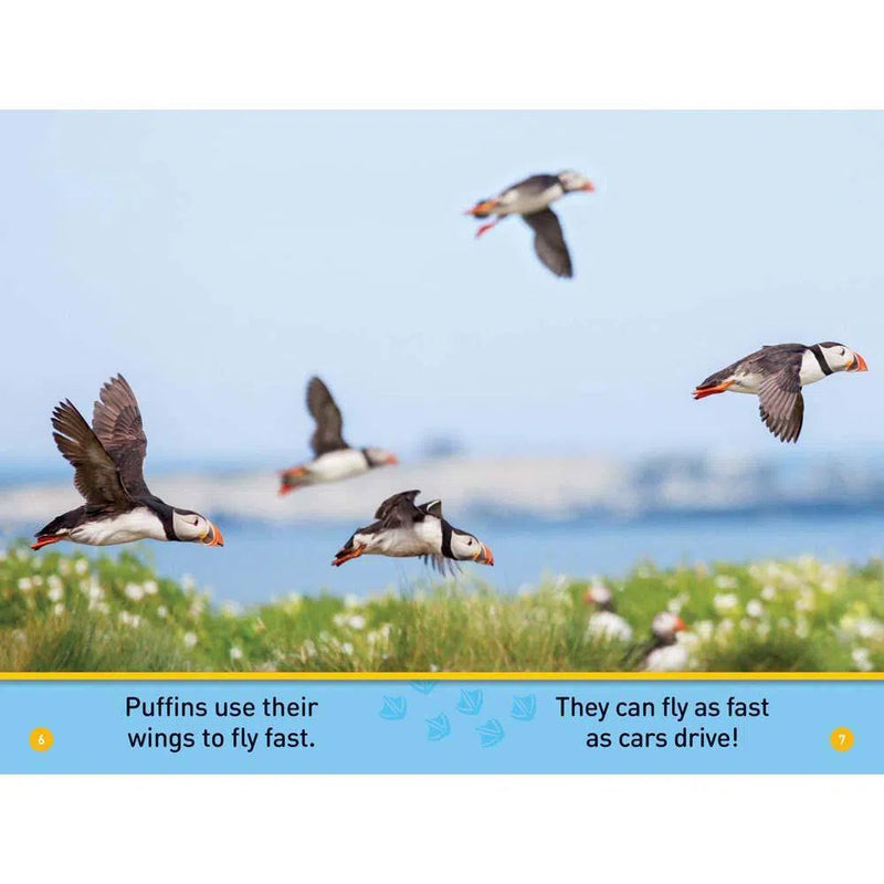 Puffins (L0) (National Geographic Kids Readers) National Geographic