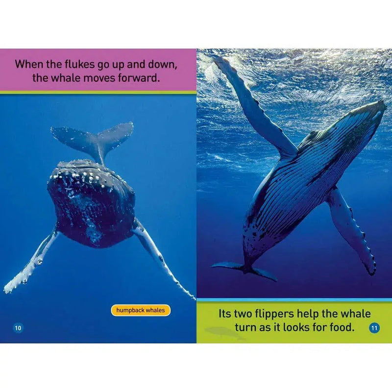 Whales (L0) (National Geographic Kids Readers) National Geographic