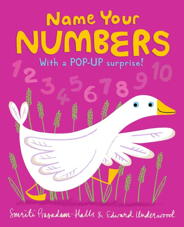 Name Your Numbers-Children’s / Teenage fiction: General and modern fiction-買書書 BuyBookBook