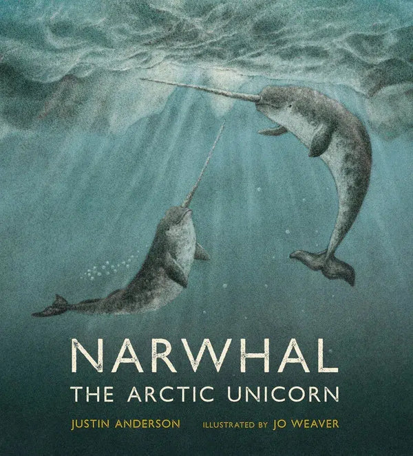 Narwhal: The Arctic Unicorn-Children’s / Teenage general interest: Fish and marine life-買書書 BuyBookBook