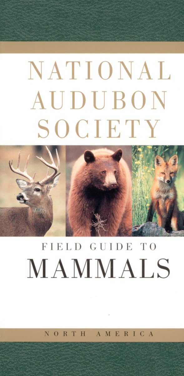 National Audubon Society Field Guide to North American Mammals-Nature and the natural world: general interest-買書書 BuyBookBook