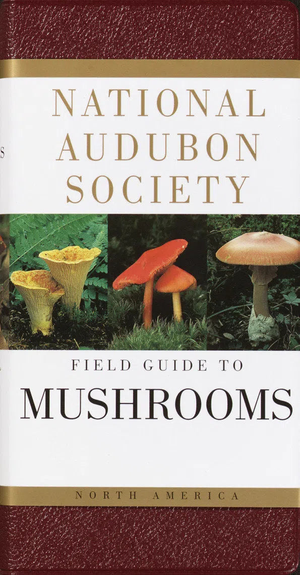 National Audubon Society Field Guide to North American Mushrooms-Nature and the natural world: general interest-買書書 BuyBookBook