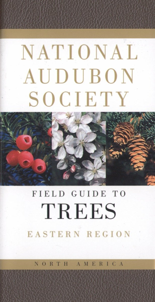 National Audubon Society Field Guide to North American Trees-E-Nature and the natural world: general interest-買書書 BuyBookBook