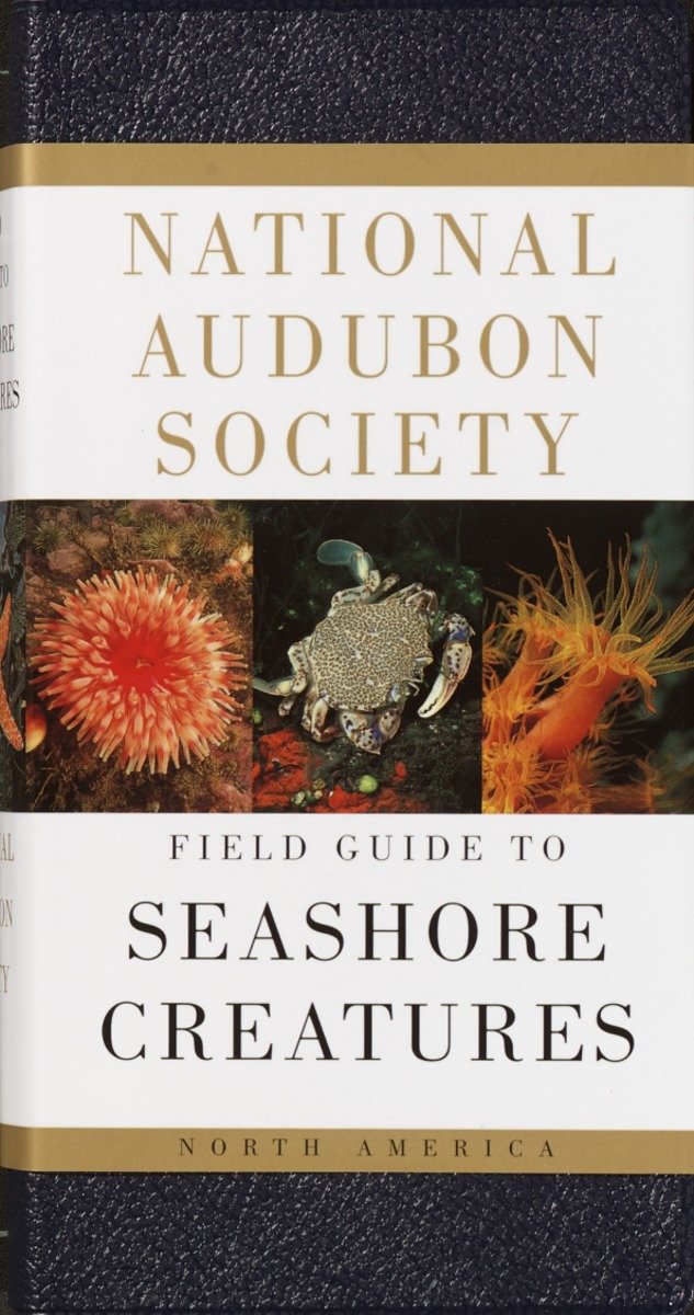 National Audubon Society Field Guide to Seashore Creatures-Nature and the natural world: general interest-買書書 BuyBookBook