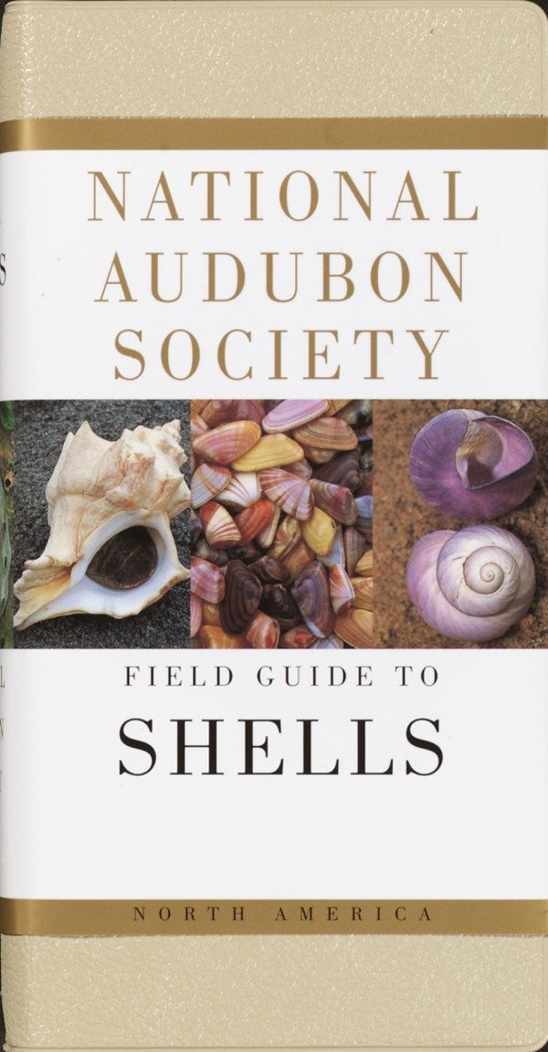 National Audubon Society Field Guide to Shells-Nature and the natural world: general interest-買書書 BuyBookBook