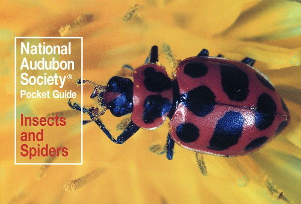 National Audubon Society Pocket Guide: Insects and Spiders-Nature and the natural world: general interest-買書書 BuyBookBook