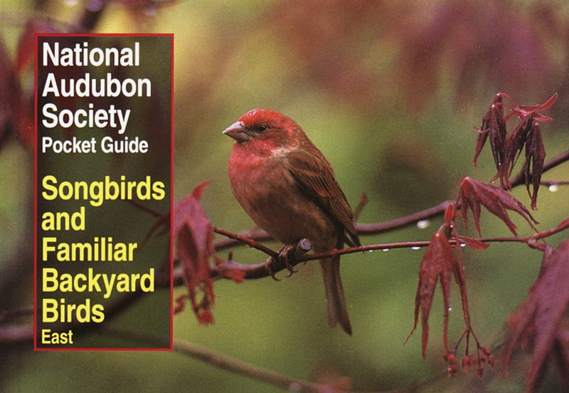 National Audubon Society Pocket Guide to Songbirds and Familiar Backyard Birds: Eastern Region-Nature and the natural world: general interest-買書書 BuyBookBook