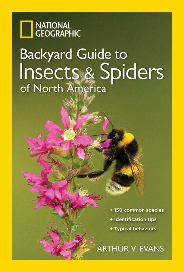 National Geographic Backyard Guide to Insects and Spiders of North America-Nature and the natural world: general interest-買書書 BuyBookBook