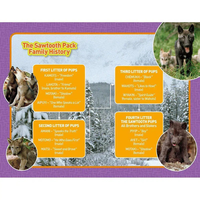 Living With Wolves (National Geographic Kids Chapters) National Geographic