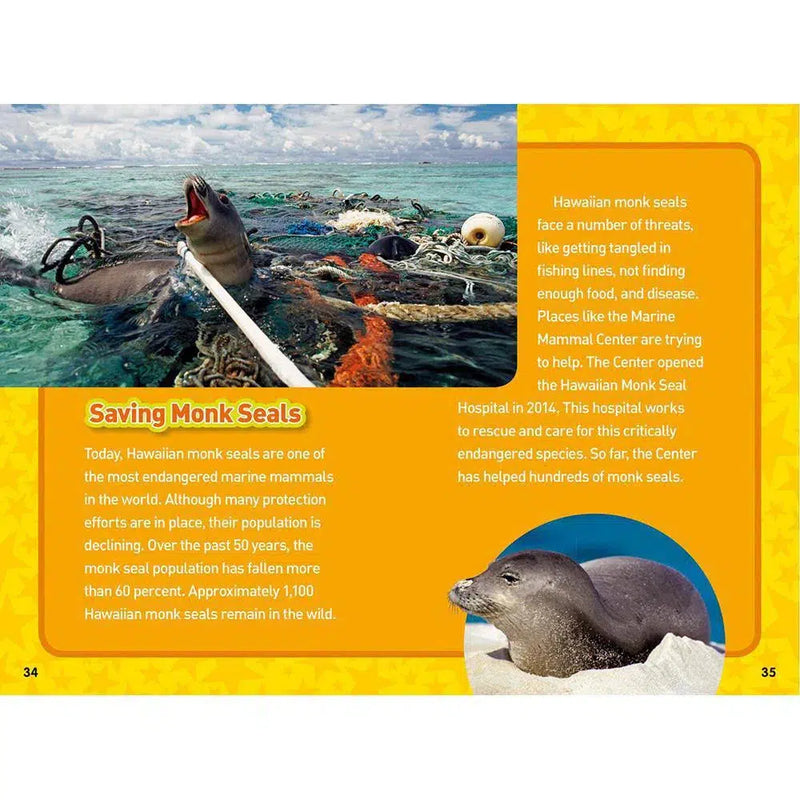 Rhino Rescue (National Geographic Kids Chapters) National Geographic