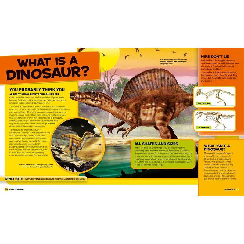 NGK Everything: Dinosaurs National Geographic