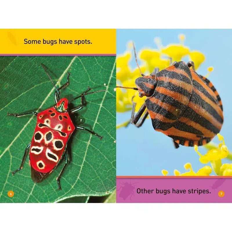 National Geographic Kids Readers: Bugs (Prereader)-Children’s Educational: Language/ literature/ literacy-買書書 BuyBookBook