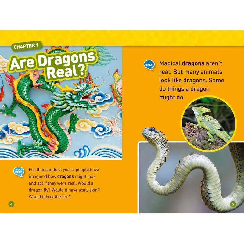 Real Dragons (L1) (National Geographic Kids Readers) National Geographic