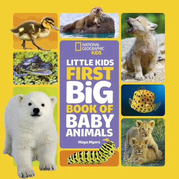 National Geographic Little Kids First Big Book of Baby Animals-Children’s / Teenage general interest: Nature and animals-買書書 BuyBookBook