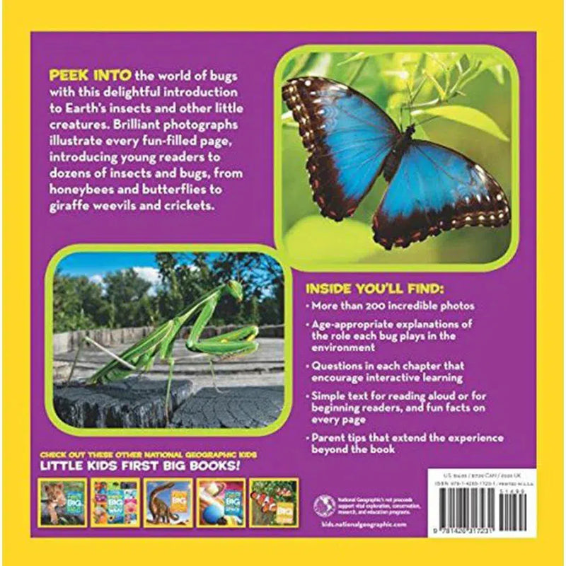 NGK Little Kids First Big Book of Bugs (Hardback) National Geographic