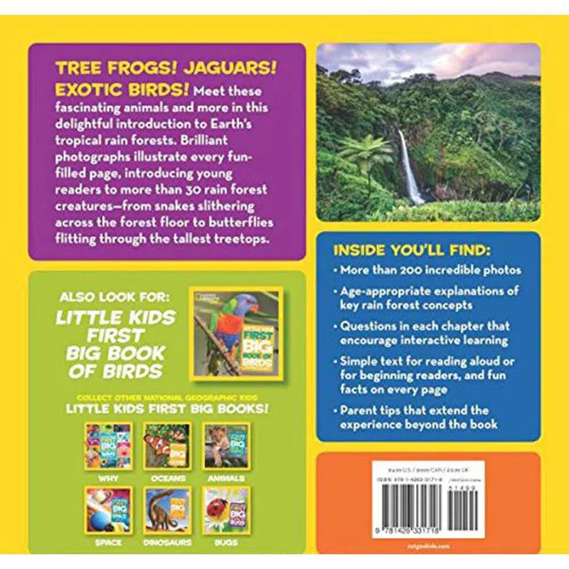 NGK Little Kids First Big Book of the Rain Forest (Hardback) National Geographic