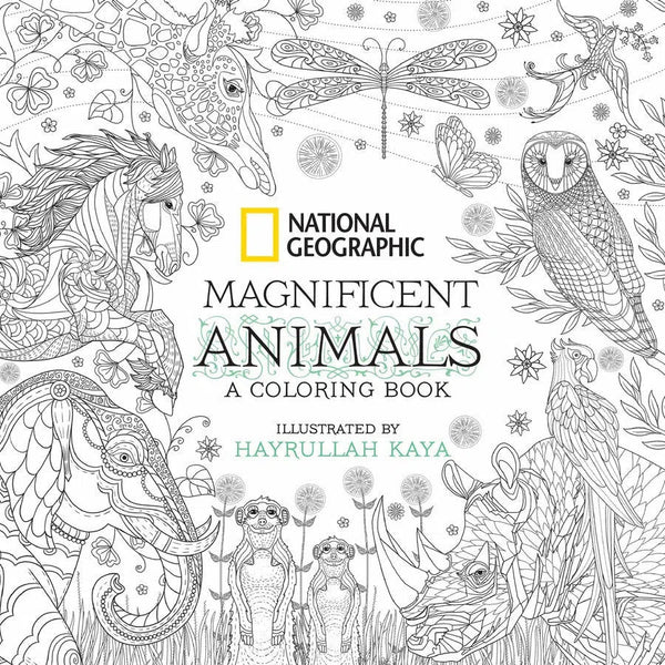 National Geographic Magnificent Animals-Art: general-買書書 BuyBookBook