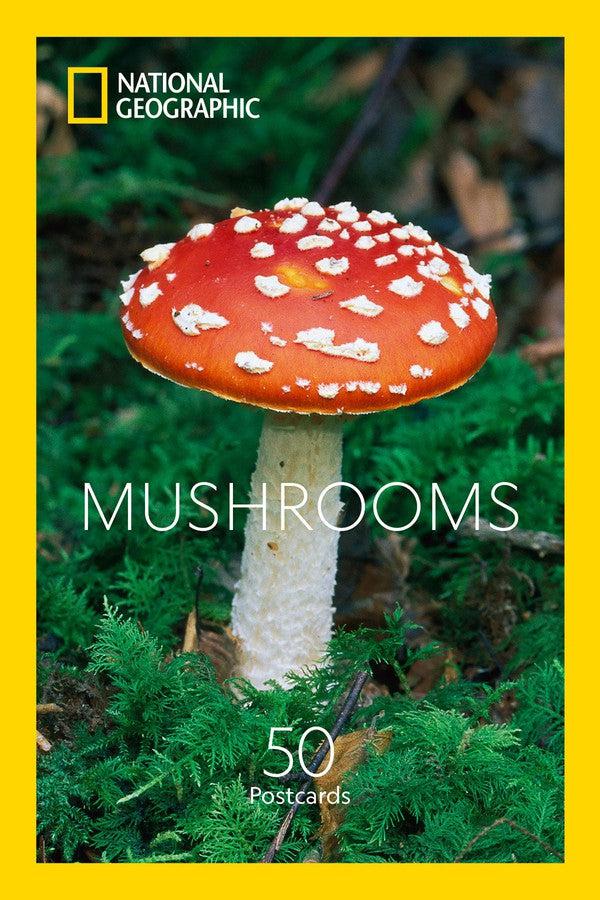 National Geographic Mushrooms Postcards-Antiques, vintage and collectables: books, manuscripts, ephemera and printed matter-買書書 BuyBookBook