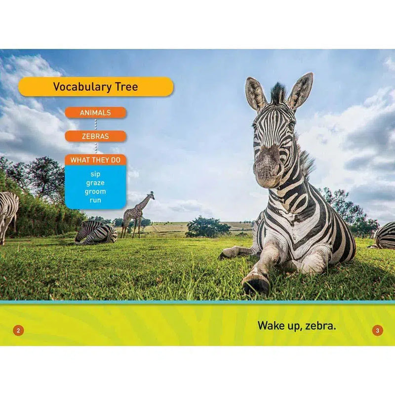 Zebra's Day, A (L0) (National Geographic Kids Readers) National Geographic