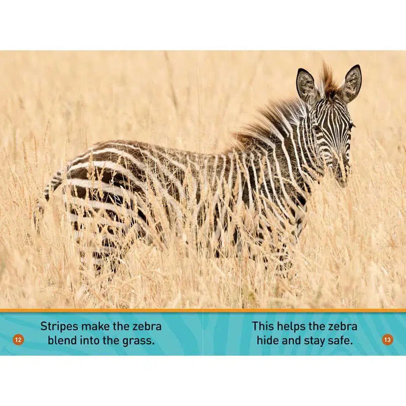 Zebra's Day, A (L0) (National Geographic Kids Readers) National Geographic