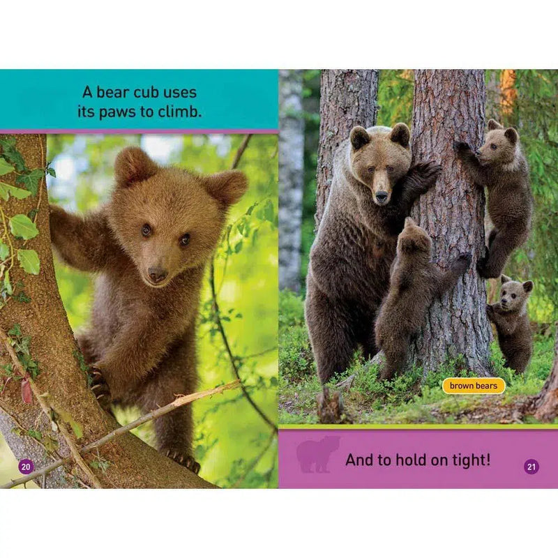 All About Bears (L0) (National Geographic Kids Readers) National Geographic