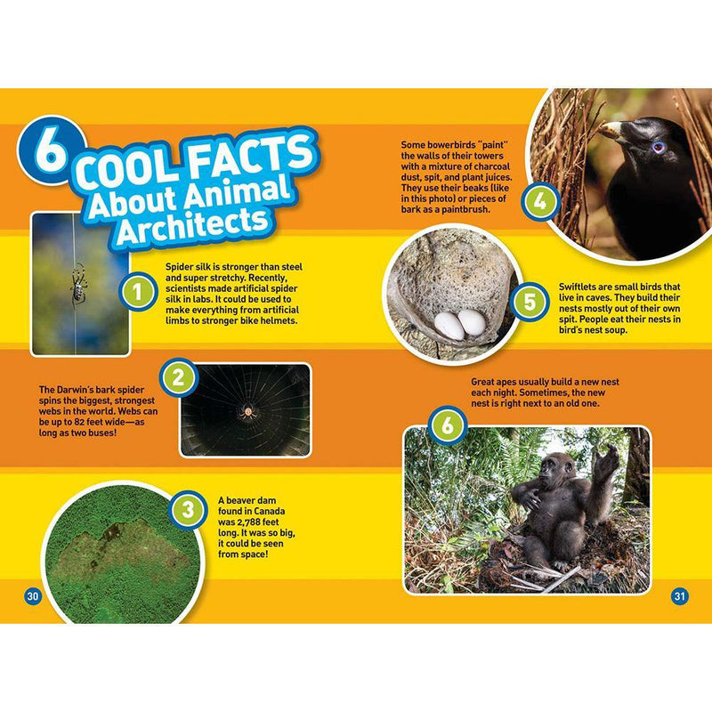 Animal Architects (L3) (National Geographic Kids Readers) National Geographic