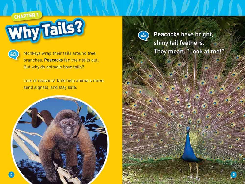 National Geographic Readers: Animal Tails (L1/Co-reader)-Children’s / Teenage general interest: Wildlife and habitats: Jungles and tropical forests-買書書 BuyBookBook