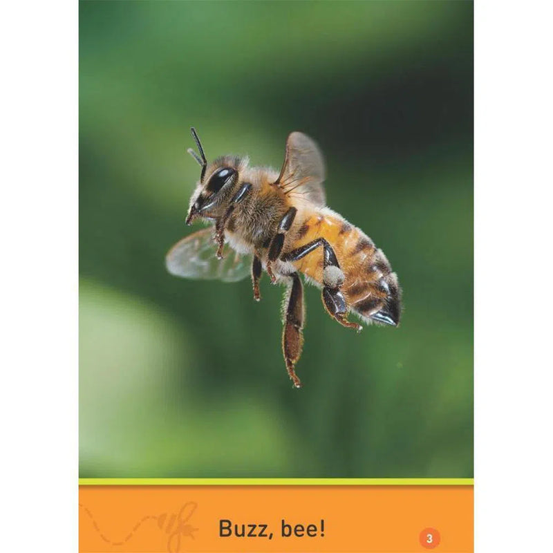 Buzz, Bee! (L0) (National Geographic Kids Readers) National Geographic