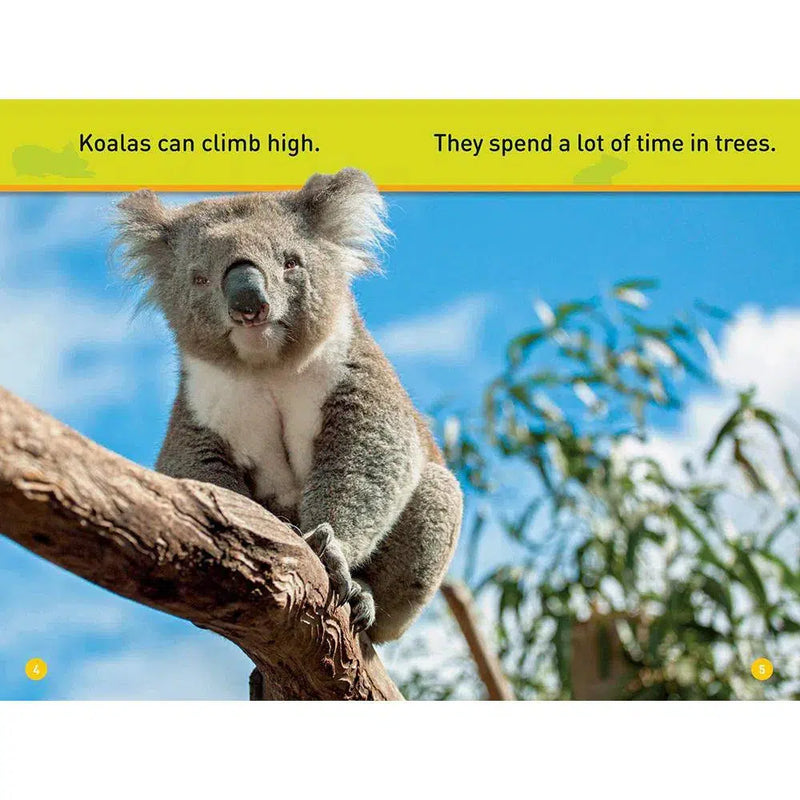 Climb, Koala! (L0) (National Geographic Kids Readers) National Geographic