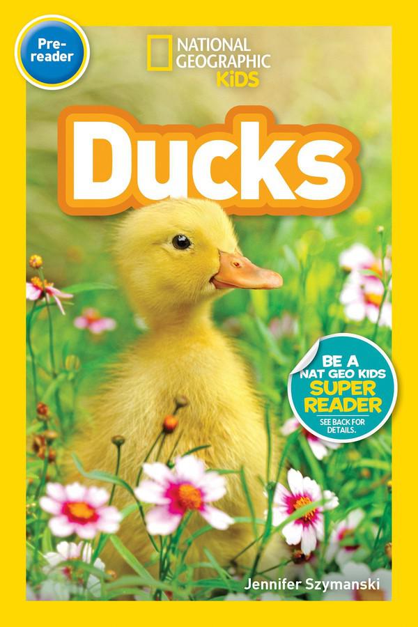 National Geographic Readers: Ducks (Prereader)-Children’s Educational: Language/ literature/ literacy-買書書 BuyBookBook