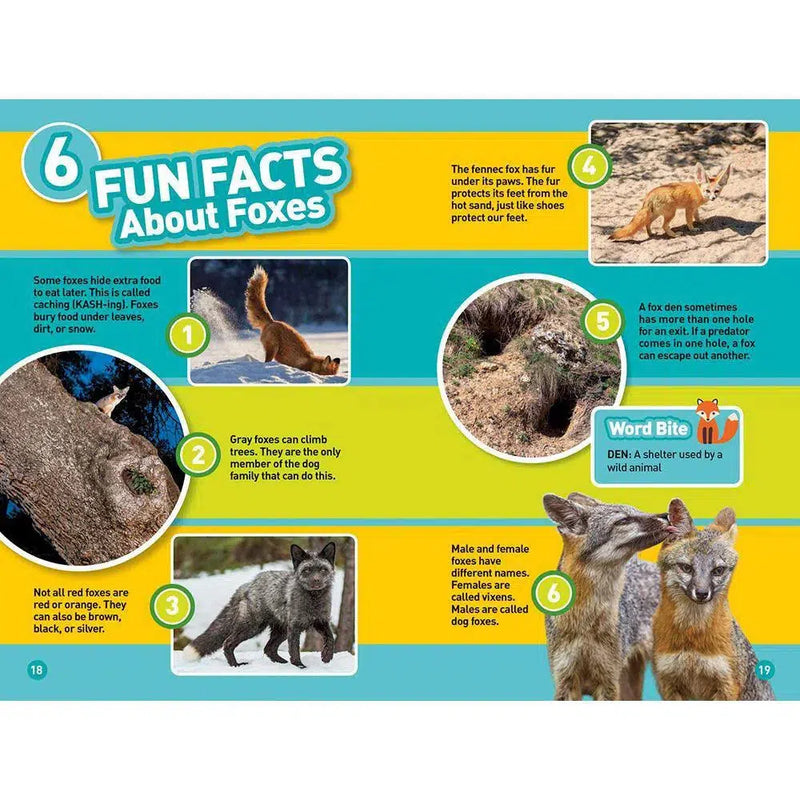 Foxes (L2) (National Geographic Kids Readers) National Geographic