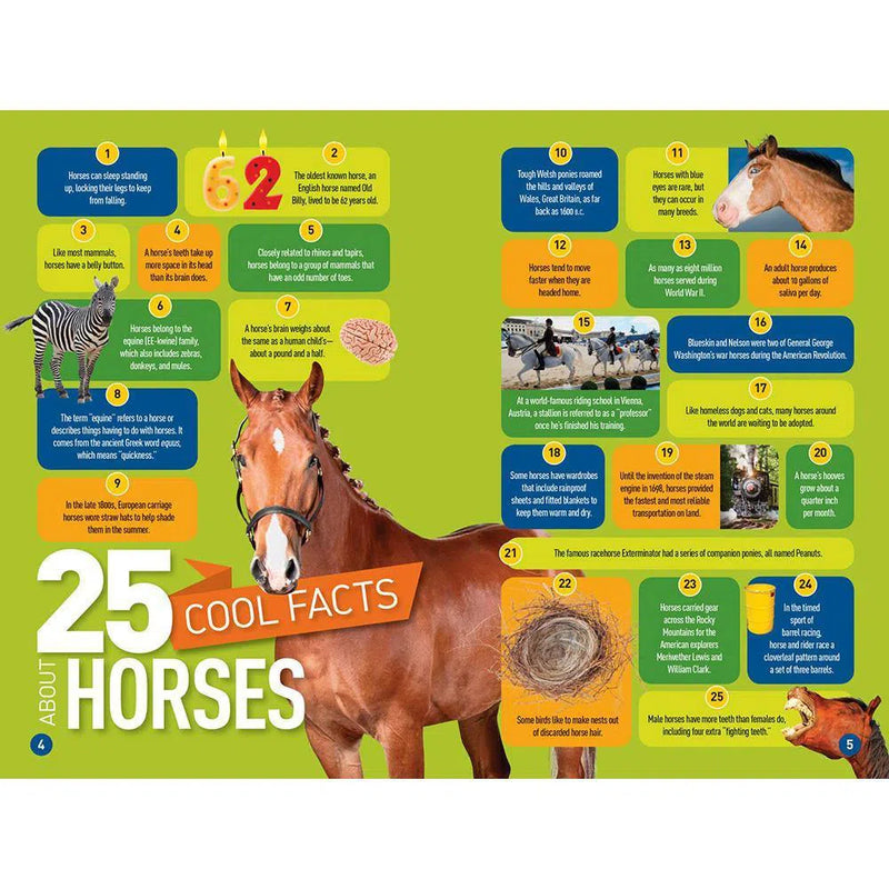 Gallop! 100 Fun Facts About Horses (L3) (National Geographic Kids Readers) National Geographic