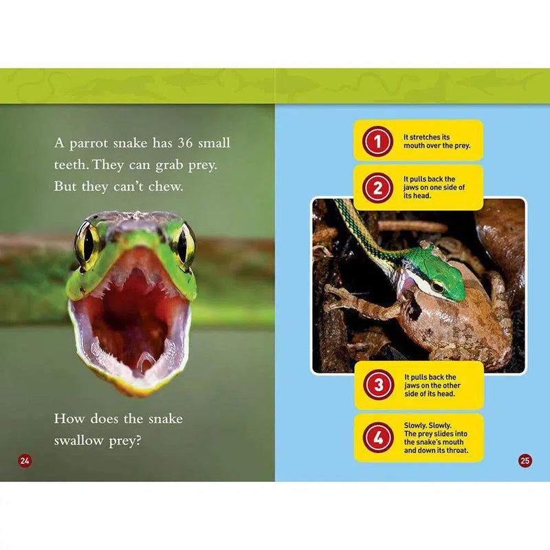 Predator Face-Off (L1) (National Geographic Kids Readers) National Geographic