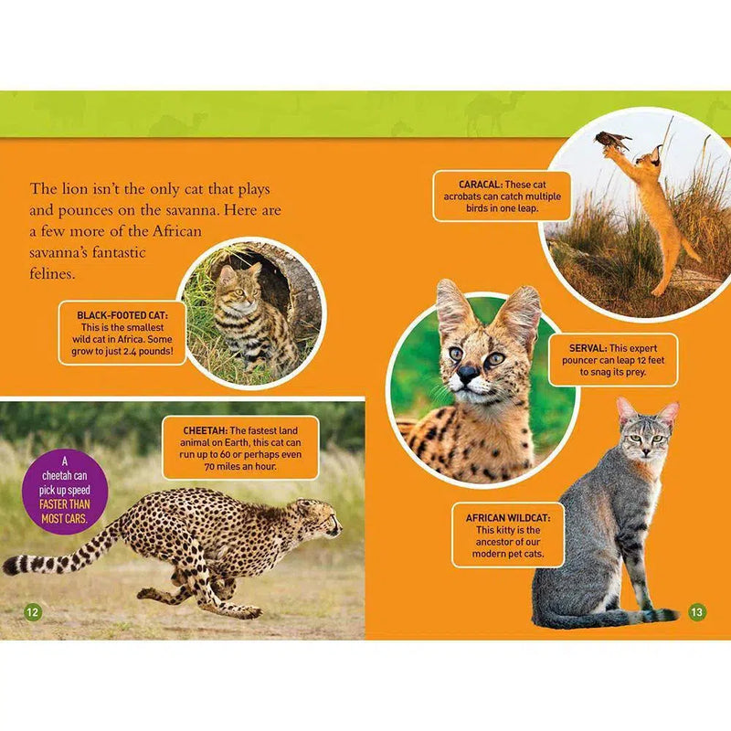 Roar! 100 Facts About African Animals (L3) (National Geographic Kids Readers) National Geographic