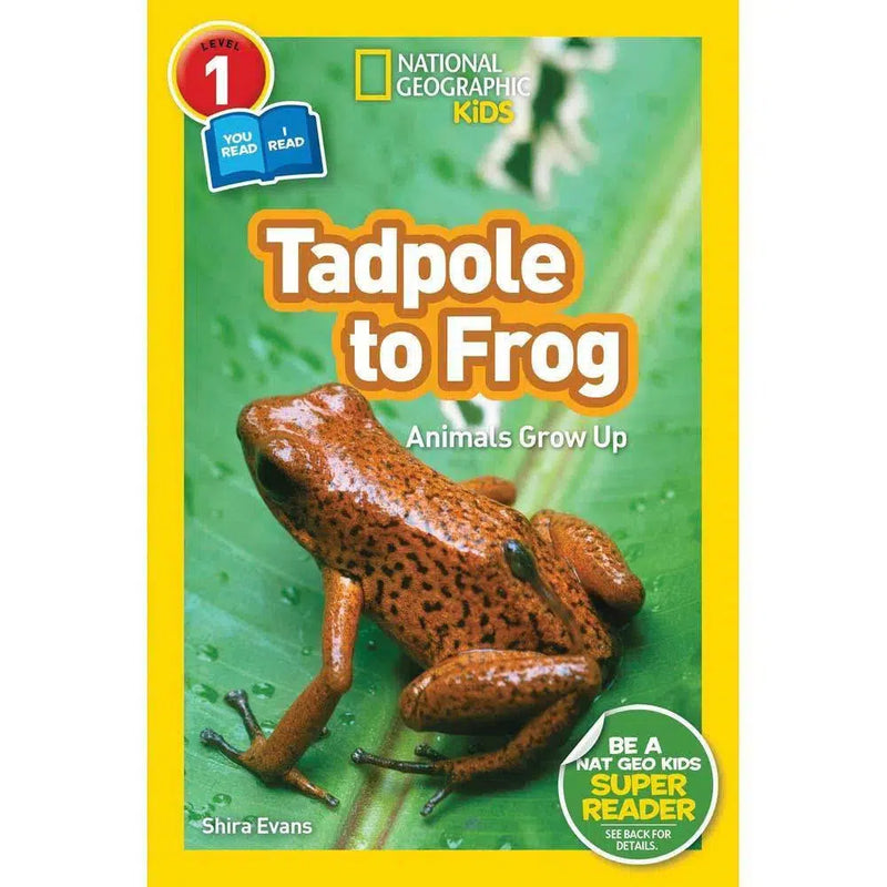 Tadpole to Frog (L1) (National Geographic Kids Readers) National Geographic