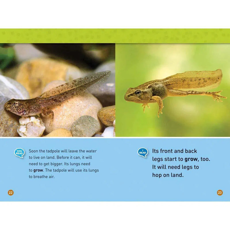 Tadpole to Frog (L1) (National Geographic Kids Readers) National Geographic