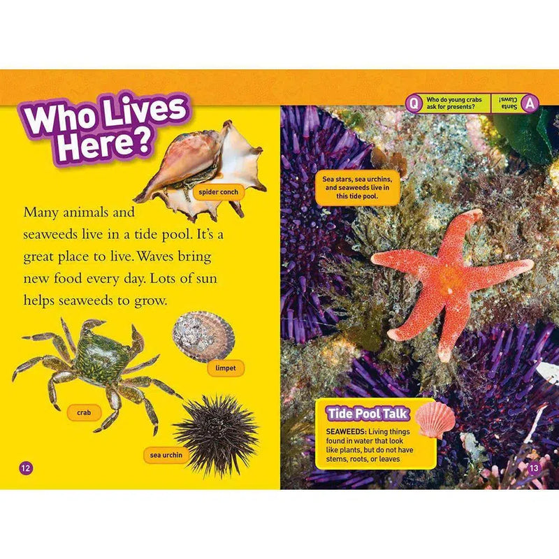 Tide Pools (L1) (National Geographic Kids Readers) National Geographic