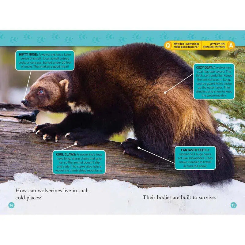 Wolverines (L3) (National Geographic Kids Readers) National Geographic