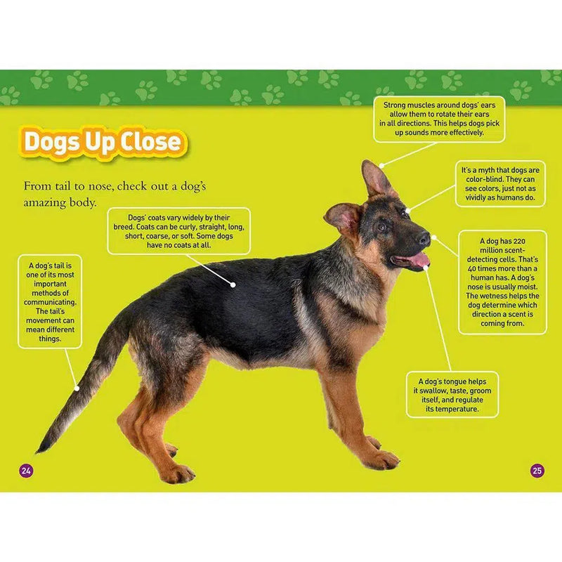 Woof! 100 Fun Facts About Dogs (L3) (National Geographic Kids Readers) National Geographic