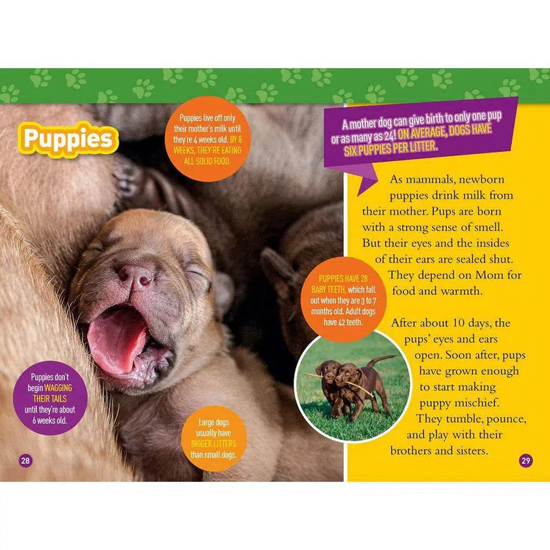 Woof! 100 Fun Facts About Dogs (L3) (National Geographic Kids Readers) National Geographic